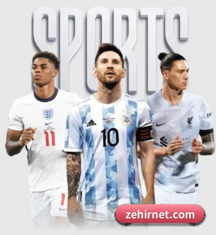 五大服务分区,信息按项目分类